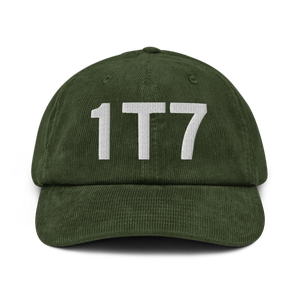 San Antonio (K1T7) Airport Hat