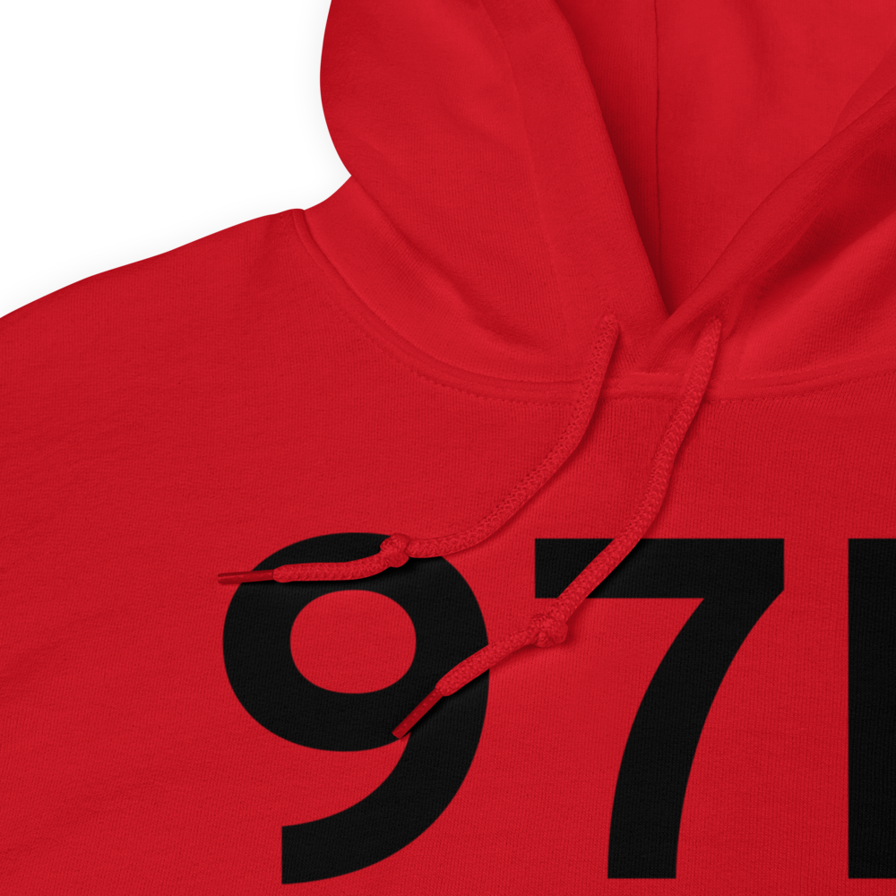 Davis (97F) Airport Hoodie Sweatshirt 