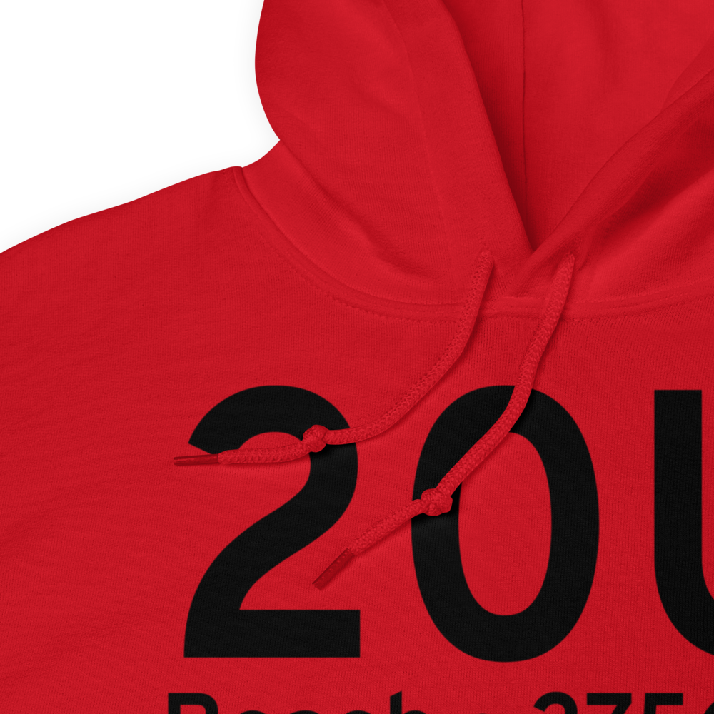 Beach (K20U) Airport Hoodie Sweatshirt 