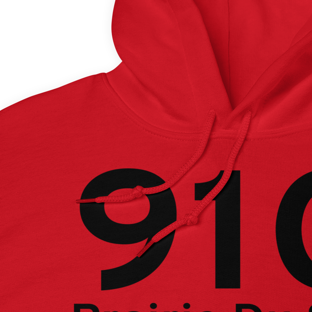 Prairie Du Sac (91C) Airport Hoodie Sweatshirt 