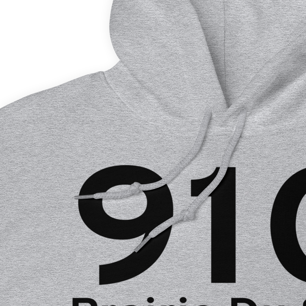 Prairie Du Sac (91C) Airport Hoodie Sweatshirt 