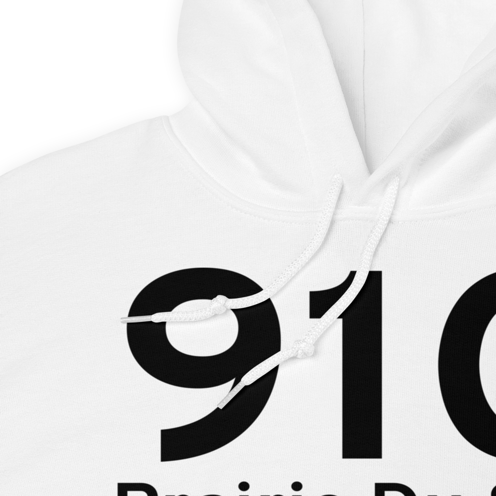 Prairie Du Sac (91C) Airport Hoodie Sweatshirt 