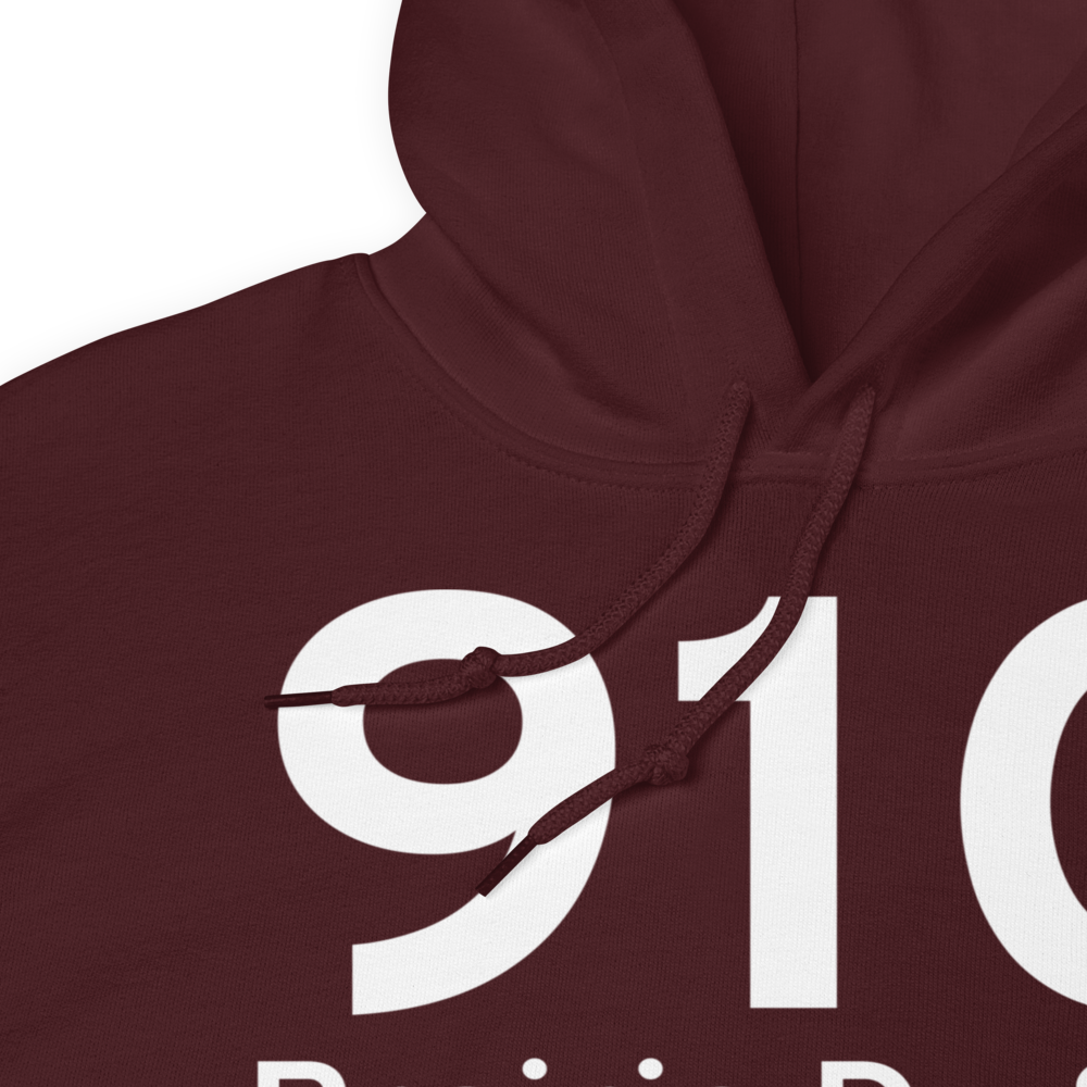 Prairie Du Sac (91C) Airport Hoodie Sweatshirt 