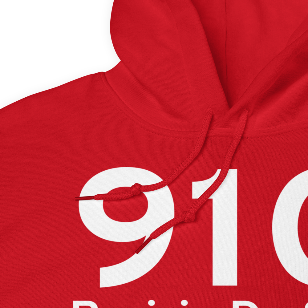 Prairie Du Sac (91C) Airport Hoodie Sweatshirt 