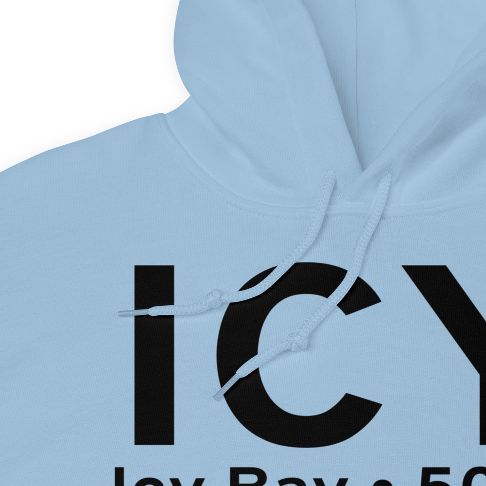 Icy Bay (19AK) Airport Hoodie Sweatshirt 