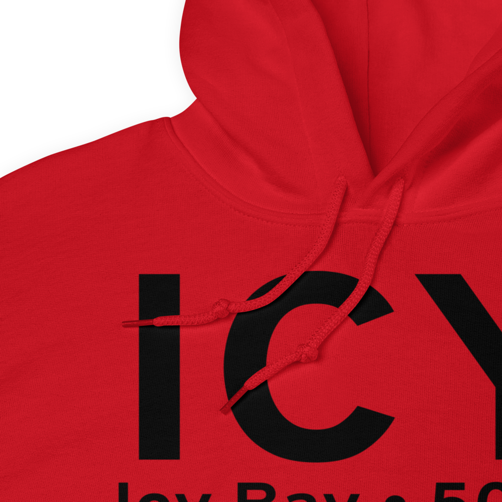 Icy Bay (19AK) Airport Hoodie Sweatshirt 