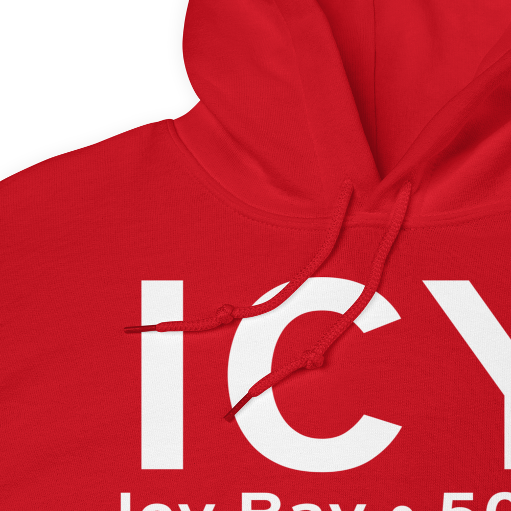 Icy Bay (19AK) Airport Hoodie Sweatshirt 