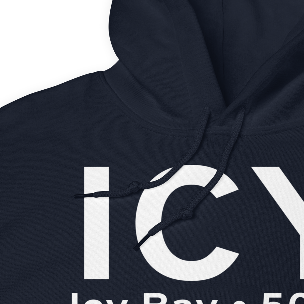 Icy Bay (19AK) Airport Hoodie Sweatshirt 