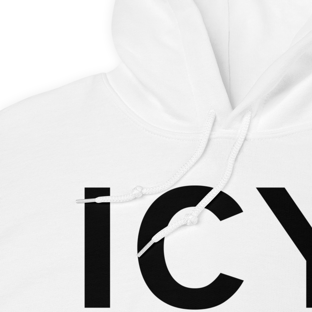 Icy Bay (19AK) Airport Hoodie Sweatshirt 