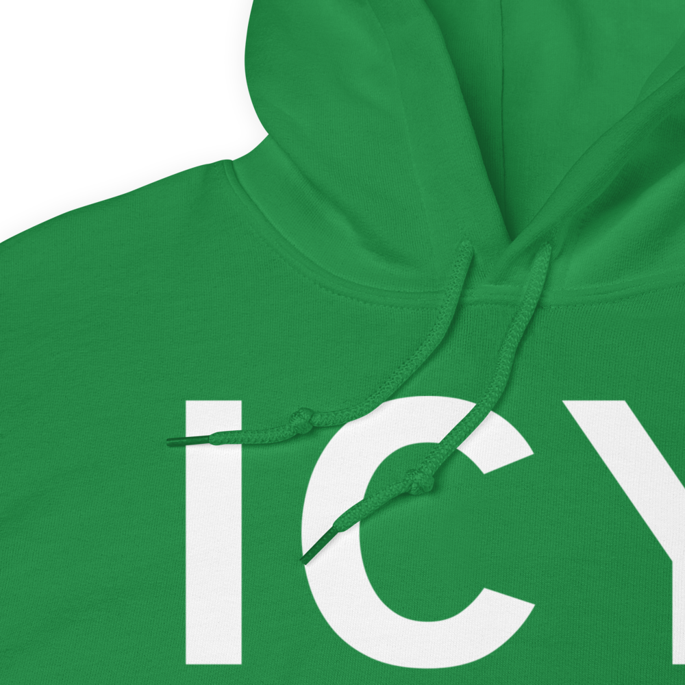 Icy Bay (19AK) Airport Hoodie Sweatshirt 