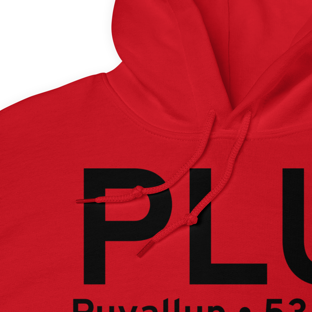 Puyallup (KPLU) Airport Hoodie Sweatshirt 