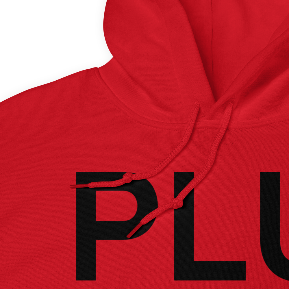 Puyallup (KPLU) Airport Hoodie Sweatshirt 