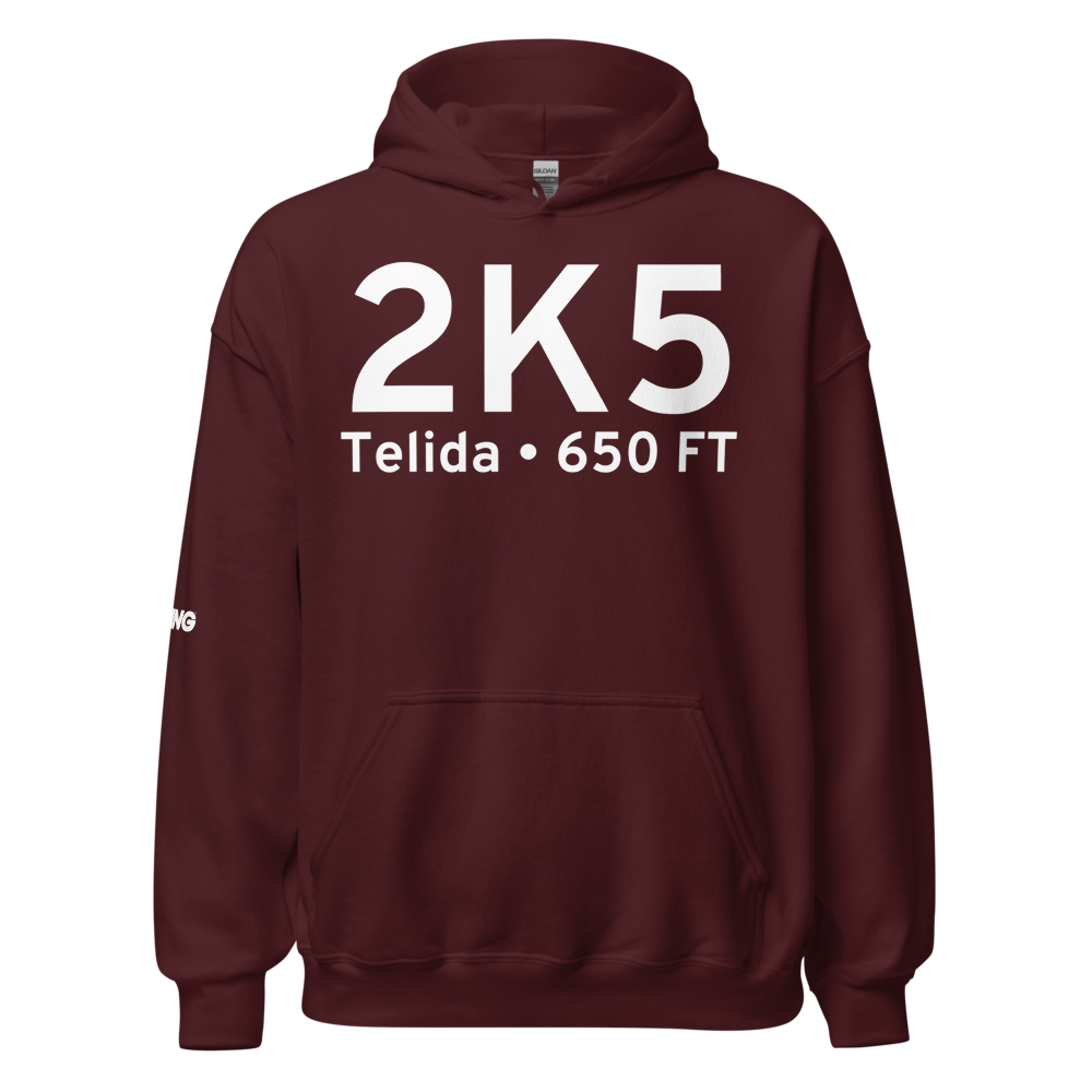 Telida (2K5) Airport Hoodie Sweatshirt 