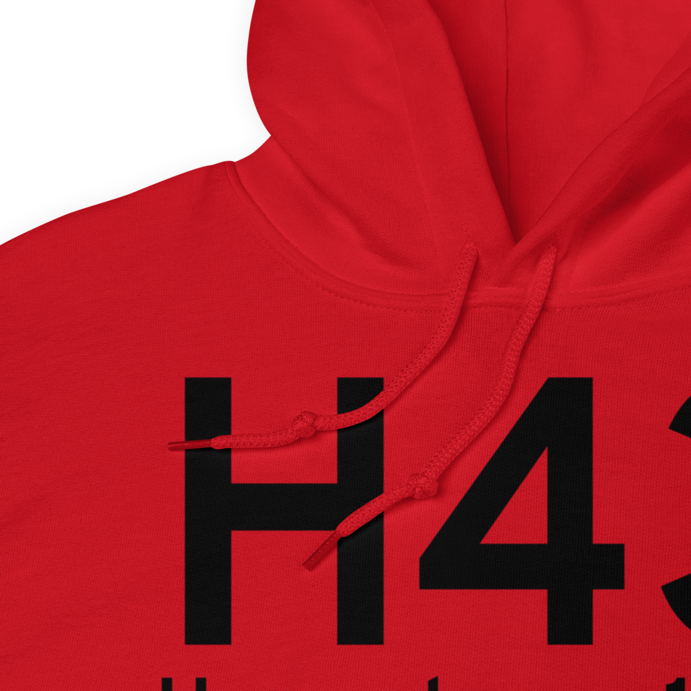 Haverstraw (H43) Airport Hoodie Sweatshirt 
