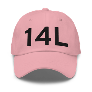 Los Angeles (14L) Airport Hat