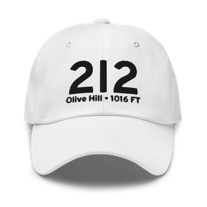 Olive Hill (2I2) Airport Hat