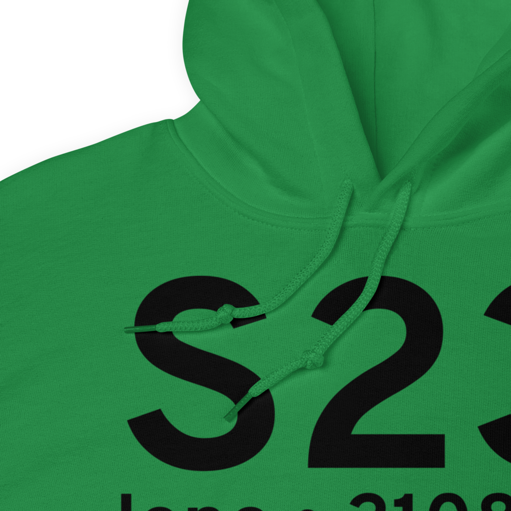 Ione (KS23) Airport Hoodie Sweatshirt 
