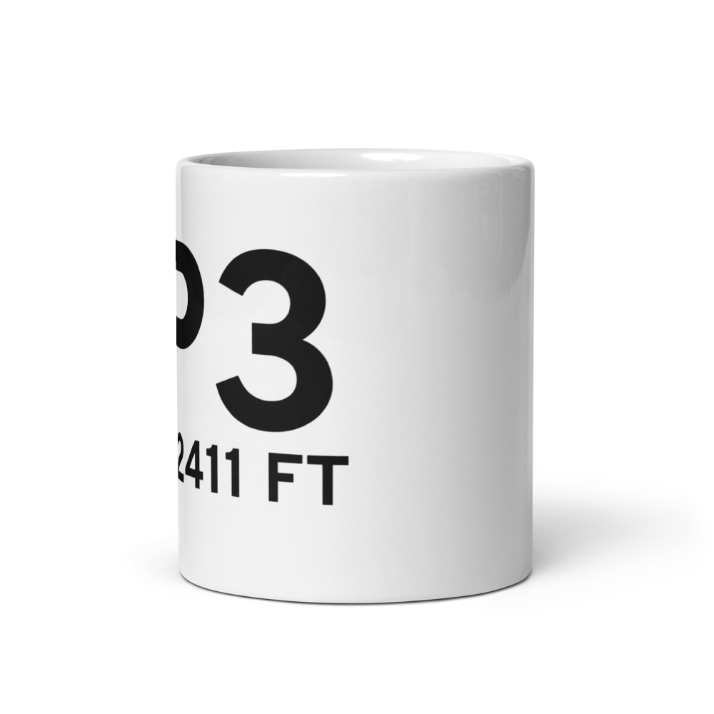 Mott (K3P3) Airport Mug 