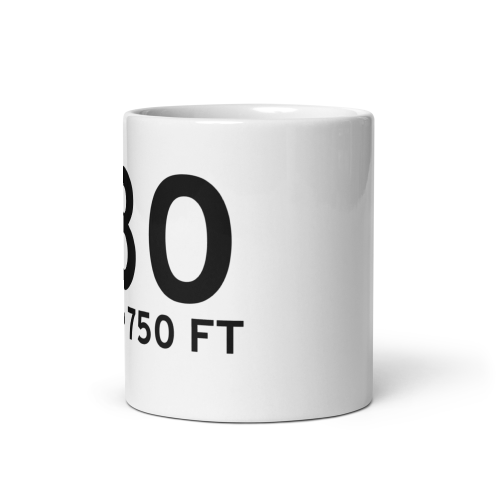 Celina (T80) Airport Mug 