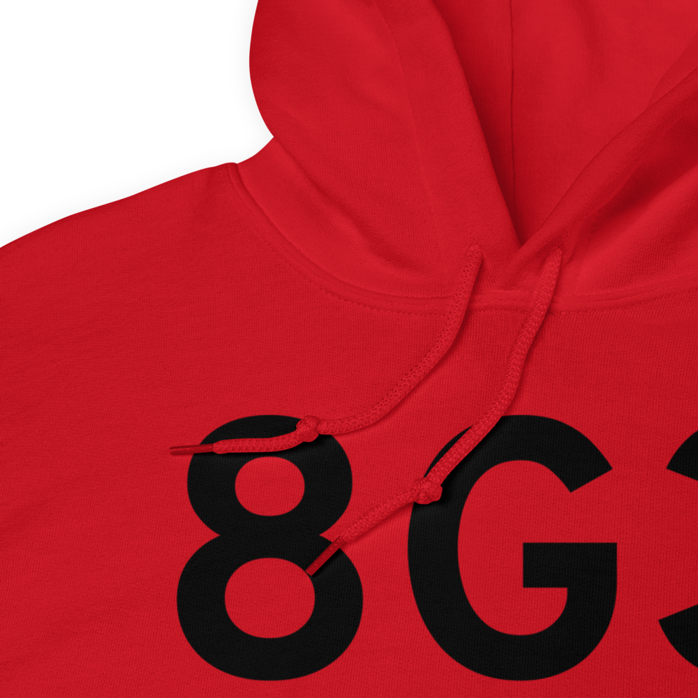 Olean (8G3) Airport Hoodie Sweatshirt 