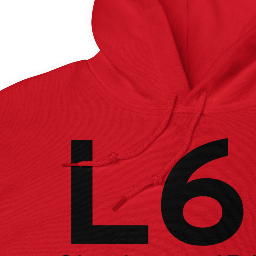 Shoshone (L61) Airport Hoodie Sweatshirt 