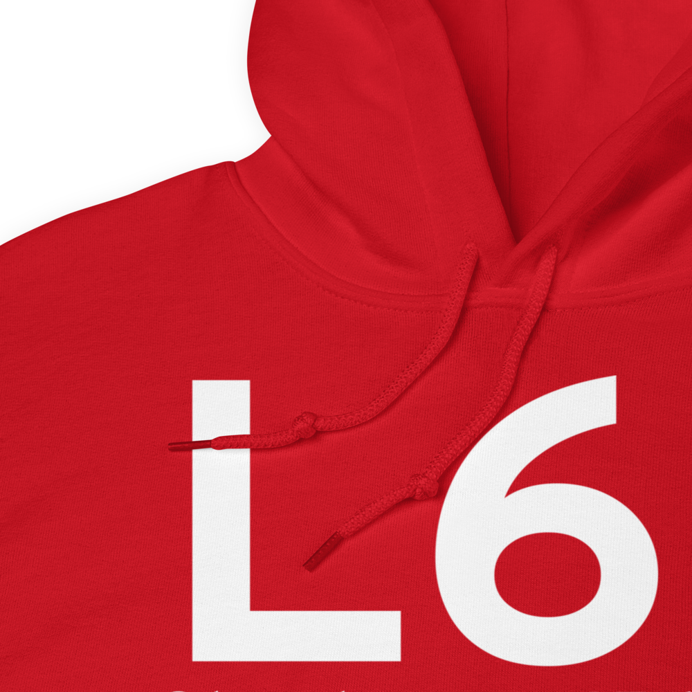 Shoshone (L61) Airport Hoodie Sweatshirt 