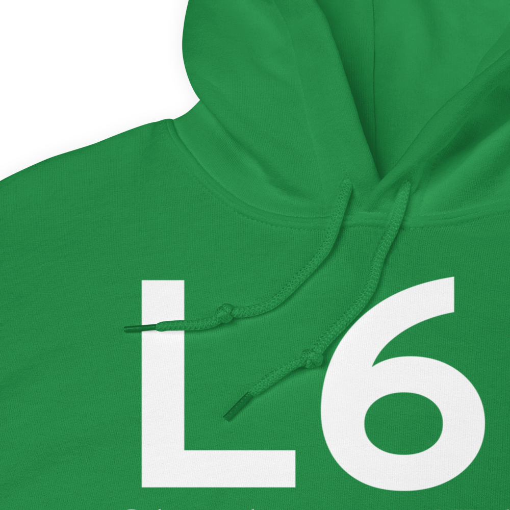 Shoshone (L61) Airport Hoodie Sweatshirt 