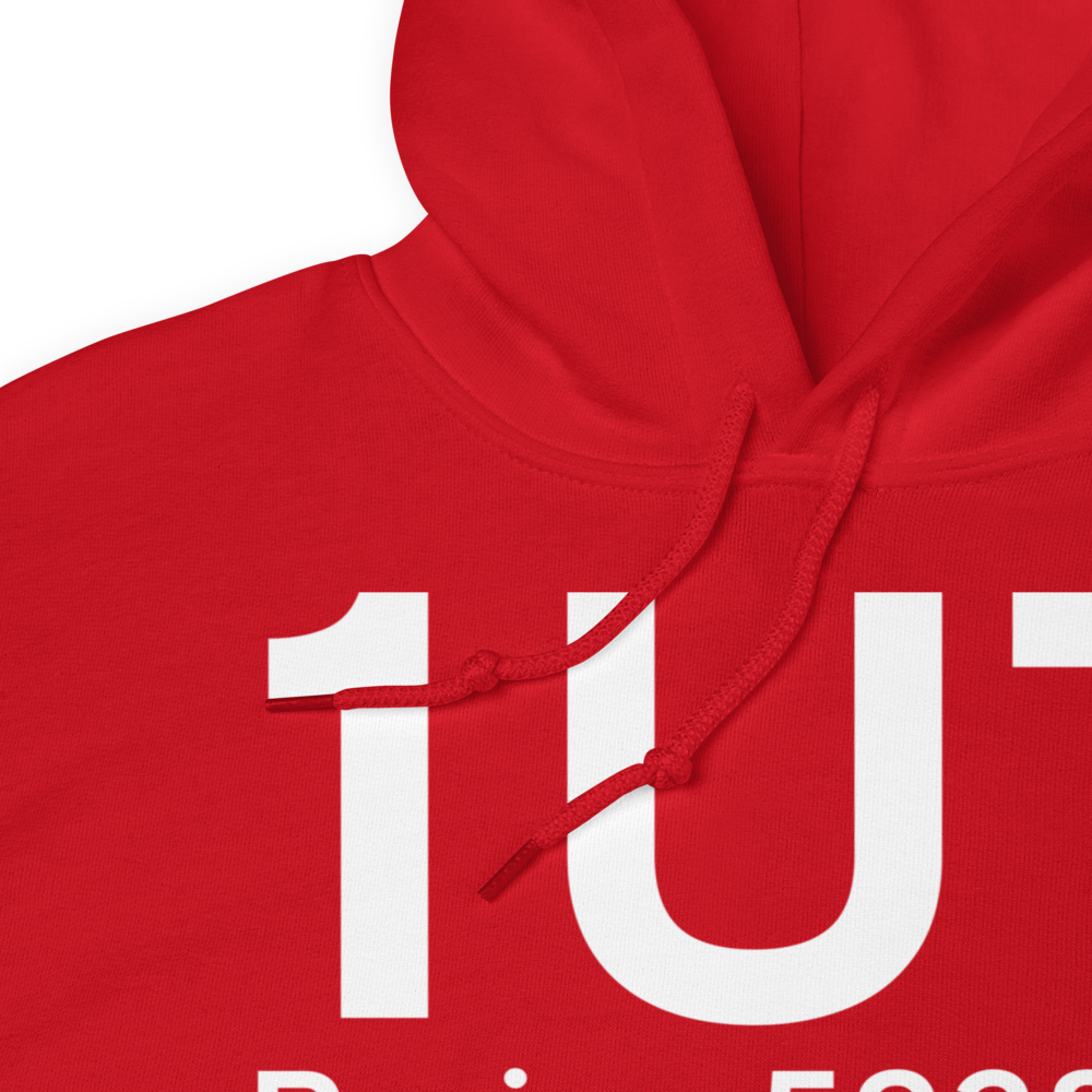 Paris (K1U7) Airport Hoodie Sweatshirt 