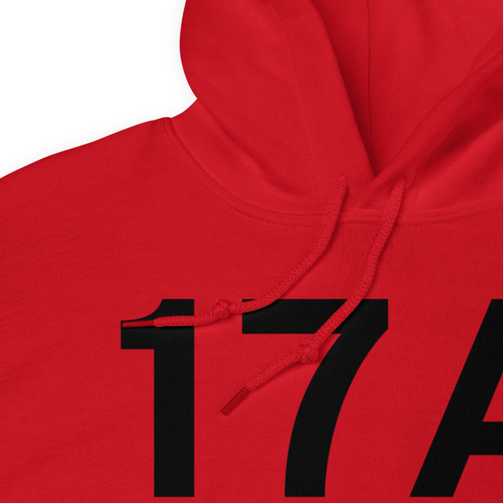Berryville (US-0713) Airport Hoodie Sweatshirt 