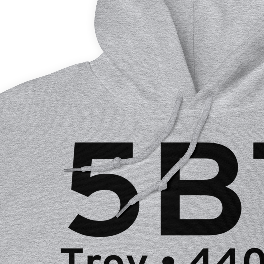 Troy (5B7) Airport Hoodie Sweatshirt 