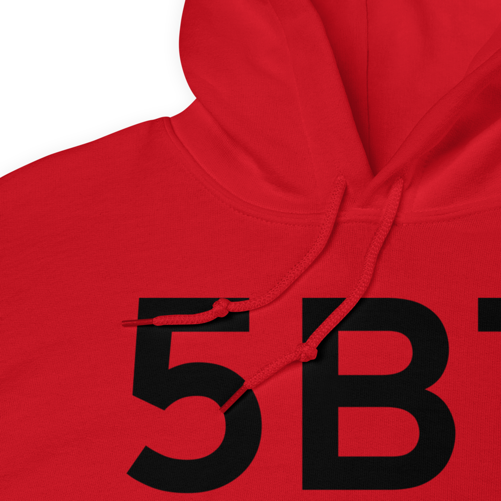 Troy (5B7) Airport Hoodie Sweatshirt 