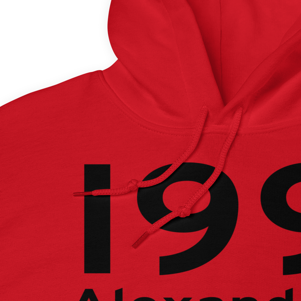 Alexandria (I99) Airport Hoodie Sweatshirt 