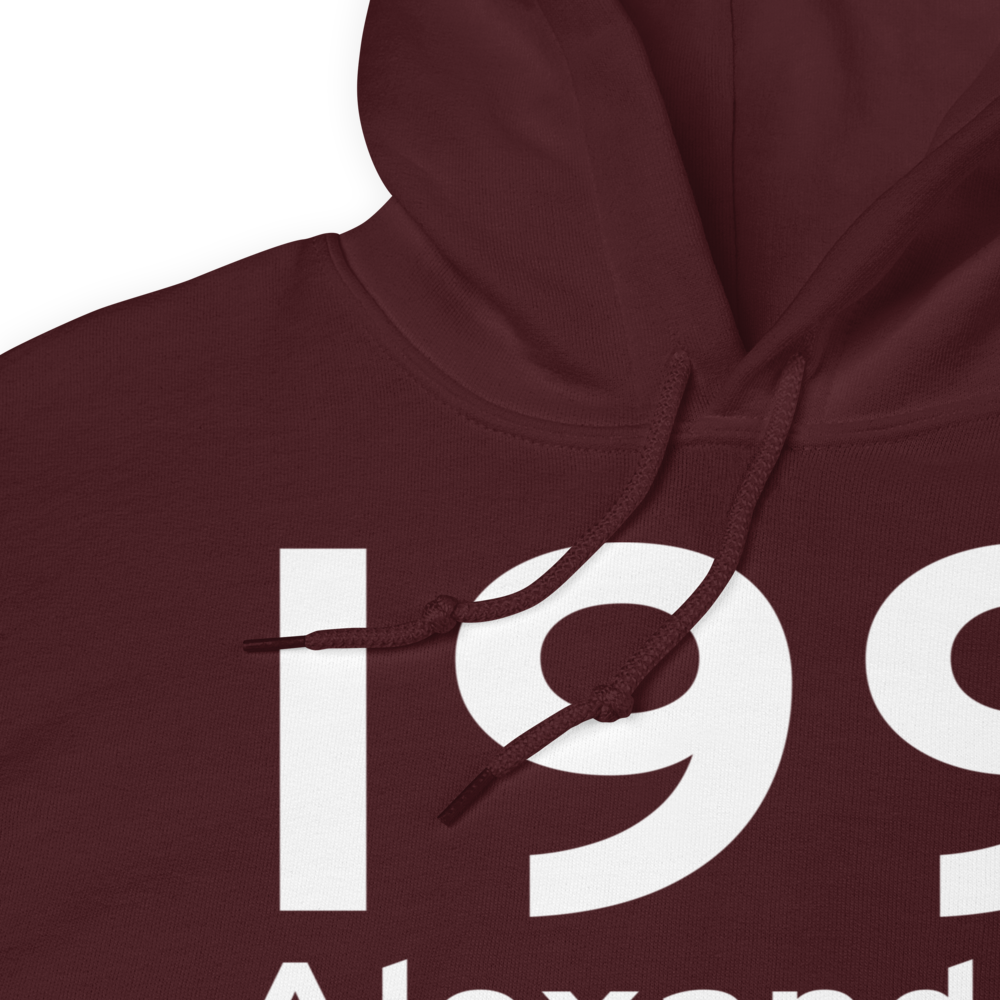 Alexandria (I99) Airport Hoodie Sweatshirt 