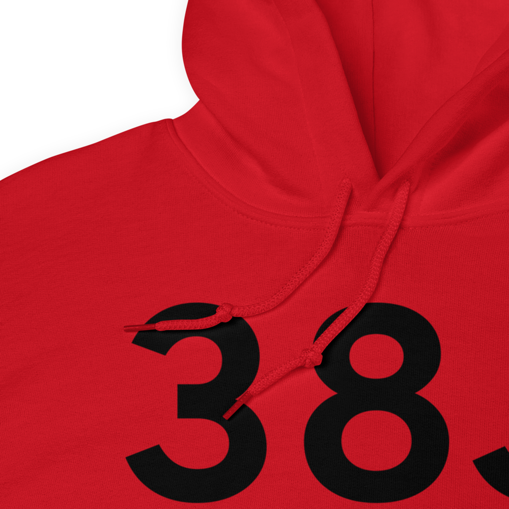 Hemingway (K38J) Airport Hoodie Sweatshirt 