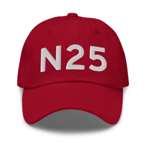 Gallupville (N25) Airport Hat