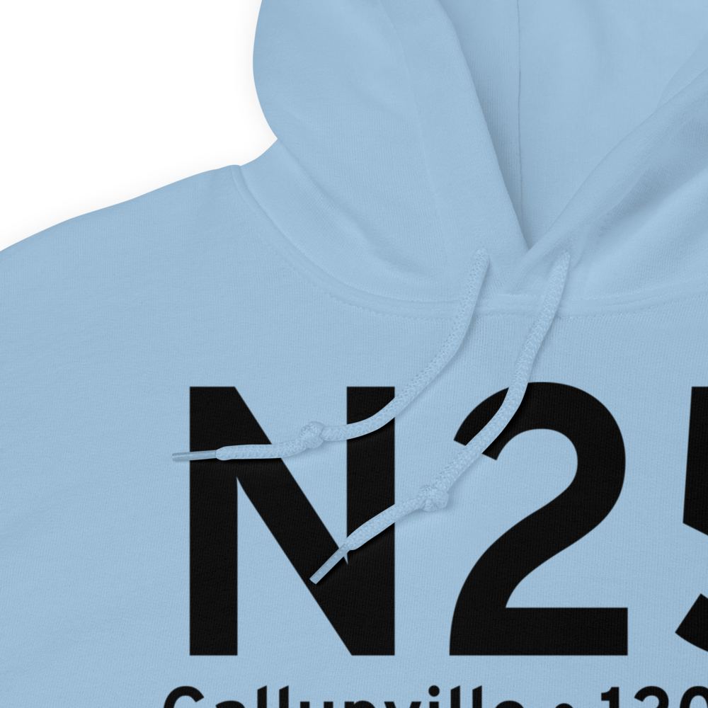 Gallupville (N25) Airport Hoodie Sweatshirt 
