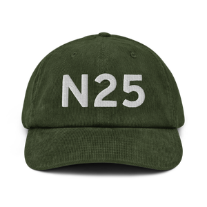 Gallupville (N25) Airport Hat