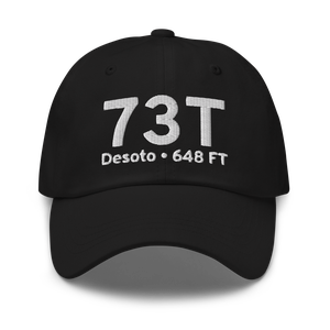 Desoto (US-0376) Airport Hat