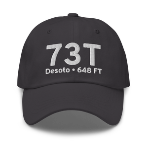 Desoto (US-0376) Airport Hat