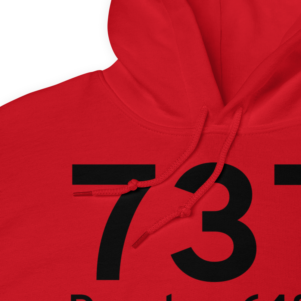 Desoto (US-0376) Airport Hoodie Sweatshirt 
