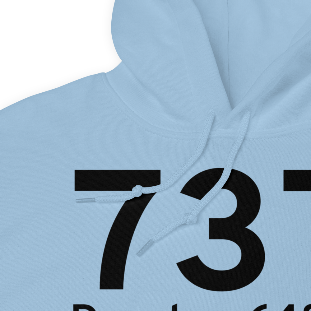 Desoto (US-0376) Airport Hoodie Sweatshirt 