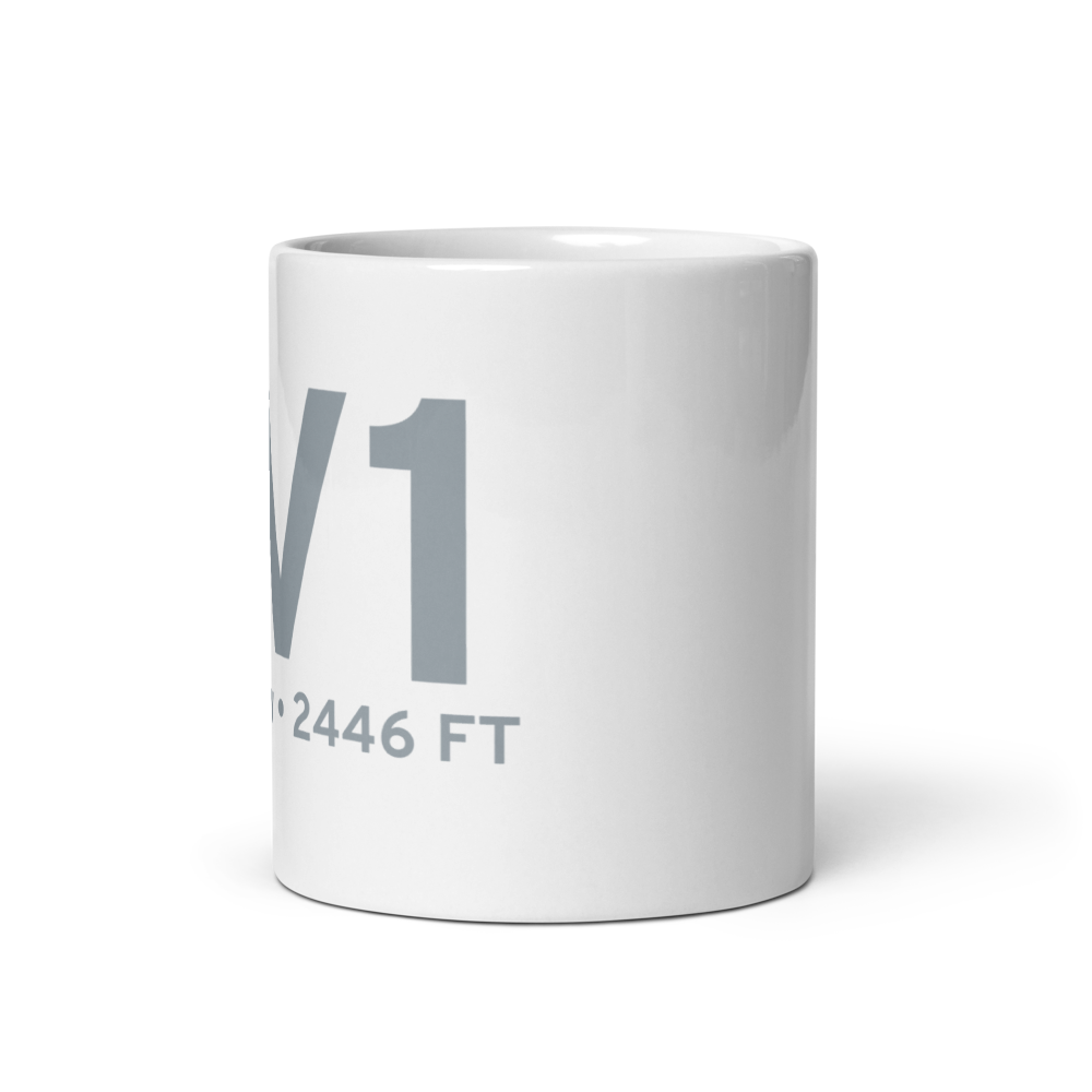 Springview (9V1) Airport Mug 