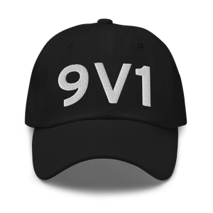 Springview (9V1) Airport Hat