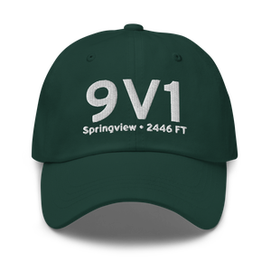Springview (9V1) Airport Hat