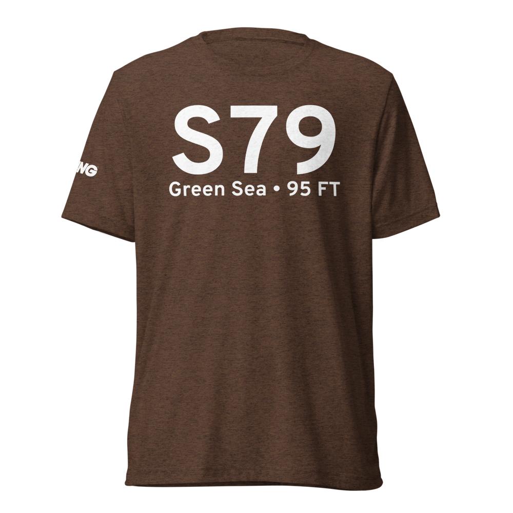 Green Sea (S79) Airport Tri-blend T-Shirt 