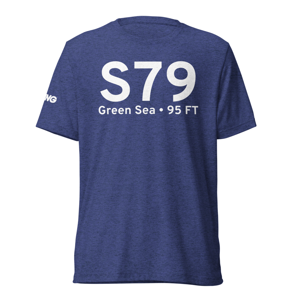 Green Sea (S79) Airport Tri-blend T-Shirt 