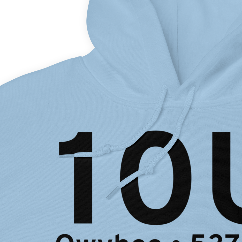 Owyhee (K10U) Airport Hoodie Sweatshirt 