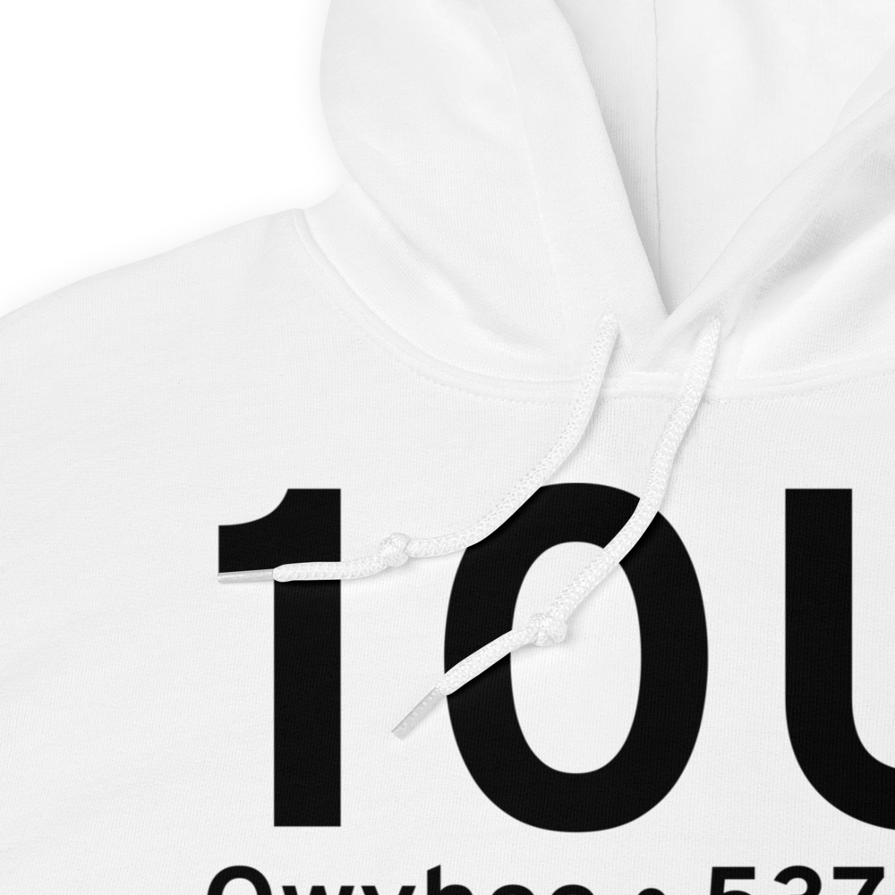Owyhee (K10U) Airport Hoodie Sweatshirt 
