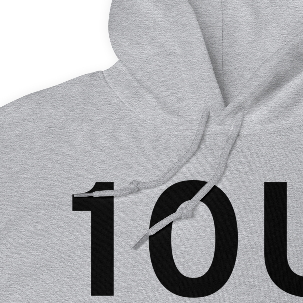 Owyhee (K10U) Airport Hoodie Sweatshirt 