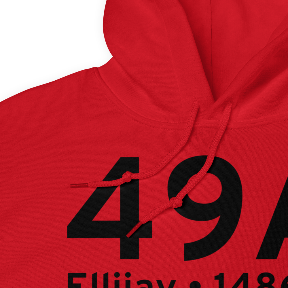 Ellijay (K49A) Airport Hoodie Sweatshirt 